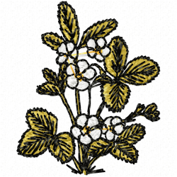 Flowers Embroidery Design 10